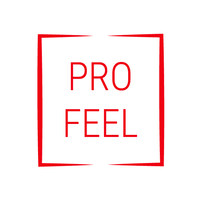 Profeel agency s.r.o. logo - Similar company to Interaction S.R.O.