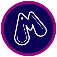 L'il Masters Diaper Manufacturers Pty (Ltd) logo - Similar company to Bee Online Group