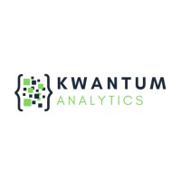 Kwantum Analytics logo - Similar company to Deriveone