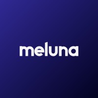 Meluna logo - Similar company to Nexline Tech