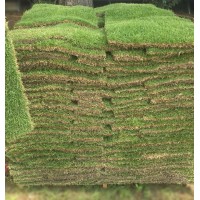 360 Sod