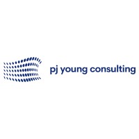 Pj Young Consulting Ltd