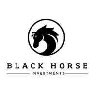 Black Horse Investments logo - Similar company to Thirtyone Capital