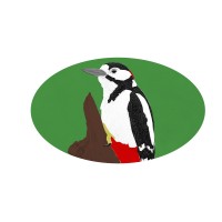 Fauneando logo - Similar company to Sti - Servicios Turisticos Integrales
