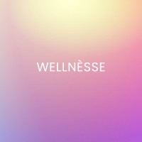 WELLNESSE logo - Similar company to Fancy Pants Group
