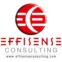 EffisenseConsulting logo - Similar company to A Square Innovations