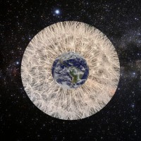 Propagule Space Ecology Institute logo - Similar company to Myco
