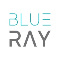 Blueray Services GmbH logo - Similar company to saferay Group