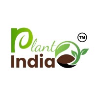 Planto India logo - Similar company to Golden Square Consultancy