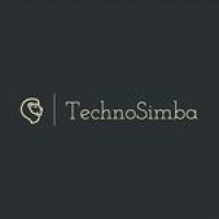 Techno Simba logo - Similar company to Ifynd