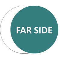 FarSide logo - Similar company to Farside Studio