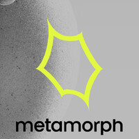 metamorph logo - Similar company to Xperience Labs