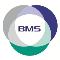 BMS Egypt logo - Similar company to Bms Egypt