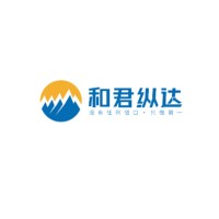 Hejun Zongda Data Technology Co.,Ltd. logo - Similar company to All Connect