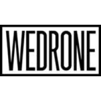 WEDRONE logo - Similar company to Processlogic