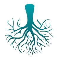 FlipTree logo - Similar company to Fliptree Technologies