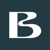 Blue Amazon logo - Similar company to Levee