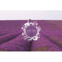 Hitchin Lavender logo - Similar company to Atticus Ai