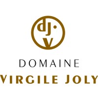 Domaine Virgile Joly logo - Similar company to Leader Strategy
