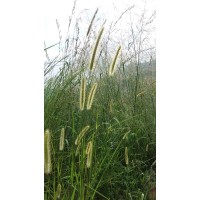 Chemical Providers logo - Similar company to Sitara Factory