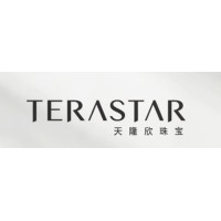 Terastar Ltd logo - Similar company to Connects2