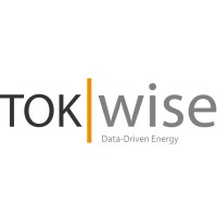TokWise logo - Similar company to Sysnergie
