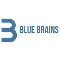 Blue Brains logo - Similar company to Bluebrain