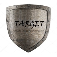 TARGET SERVICIOS CORPORATIVOS SRL logo - Similar company to Papelera Botánico