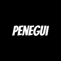 Penegui LTDA logo - Similar company to Bsidesrj