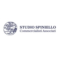 Studio Spiniello logo - Similar company to Alonzo Committeri & Partners