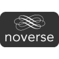 Noverse LLC logo - Similar company to Noverse Foundation