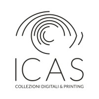 ICAS 94 SRL logo - Similar company to Comwork
