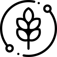 Global Seed Trading logo - Similar company to Baker Seed Co