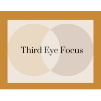 ThirdEyeFocus logo - Similar company to Holsten Human Capital Development, Nfp