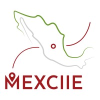 MEXCIIE INTERNATIONAL logo - Similar company to Ftn