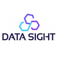 DATA SIGHT LLC logo - Similar company to Datasight