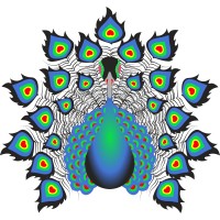 shree shyam gems and jewellery logo - Similar company to Bellerophon Gemlab