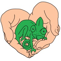 Friends of Scales Reptile Rescue logo - Similar company to Spock'S Sanctuary