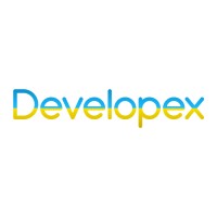 Developex logo - Similar company to Wisertech