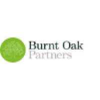 Burnt Oak Partners Ltd