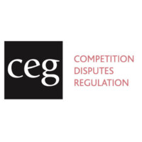CEG Asia Pacific logo - Similar company to Rivor Advisory