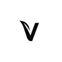 Visionary Health logo - Similar company to Medx Protocol