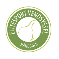 Elitesport Vendsyssel logo - Similar company to Hc Midtjylland