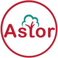 Astor International School logo - Similar company to Mbsaas: Manchester Business School Alumni Association Singapore