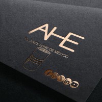 Alliance Hose de México logo - Similar company to Rubbsoflex