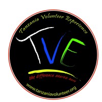Tanzania Volunteer Experience (TVE) logo - Similar company to Gempsa Gabinet Empresarial