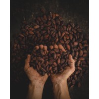 coffee beans logo - Similar company to Boost Coffee Company