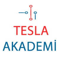 Tesla Akademi logo - Similar company to Mimtek Akademi