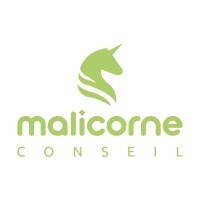 MALICORNE CONSEIL logo - Similar company to Solution Expert Social