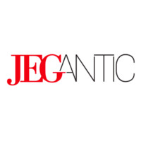 JEGantic logo - Similar company to Bridgeaid